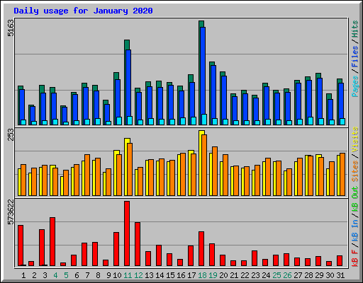 Daily usage for January 2020