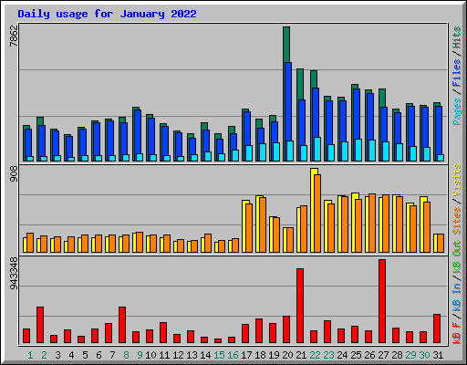 Daily usage for January 2022