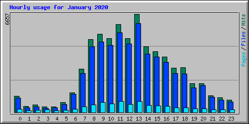 Hourly usage for January 2020