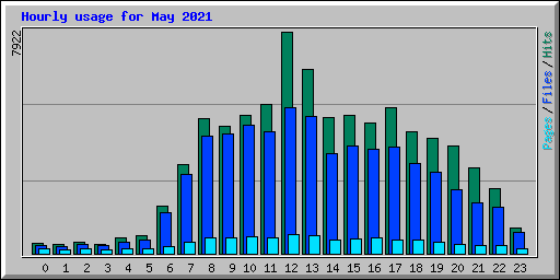 Hourly usage for May 2021