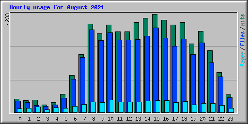 Hourly usage for August 2021