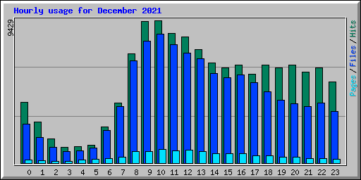 Hourly usage for December 2021