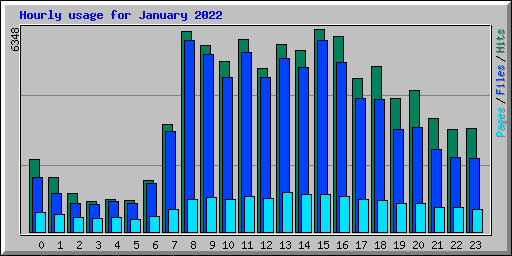 Hourly usage for January 2022