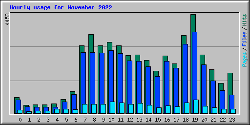 Hourly usage for November 2022