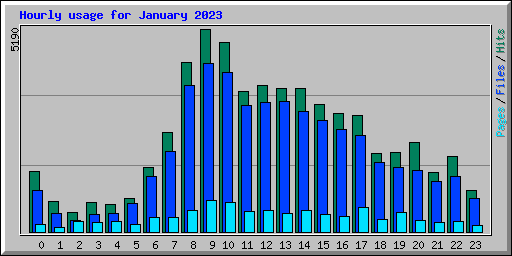 Hourly usage for January 2023