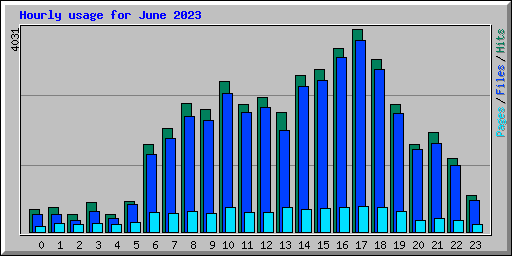 Hourly usage for June 2023