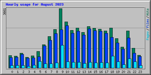Hourly usage for August 2023