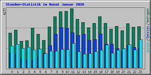 Stunden-Statistik im Monat Januar 2026