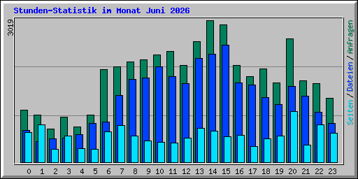 Stunden-Statistik im Monat Juni 2026